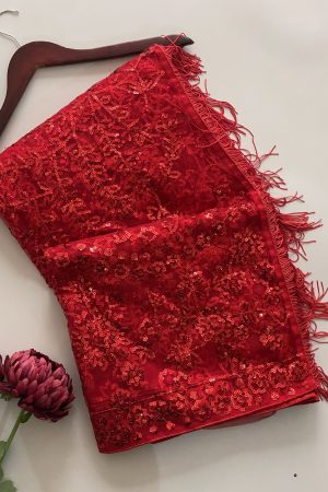 Gorgeous Looking Butterfly Net With Sequins Embroidery Saree