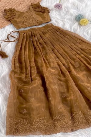 Premium Quality Organza Silk With Thread Embroidery Kids Lehenga Choli